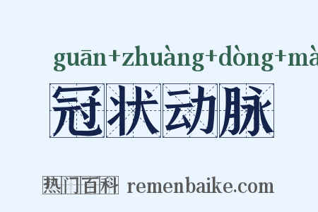 冠状动脉是什么意思的图片